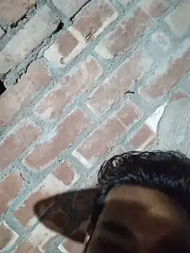 birds0641 online show from 09-29-25, 05:51