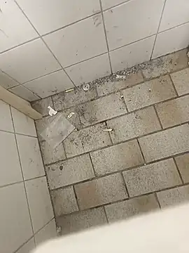 Snapshot of wadmma chatting on 11-19-25, 08:47 wadmma online show from 11-19-25, 08:47