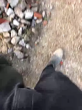 66MA69 online show from 01-31-25, 05:32