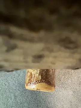 fuocovivo4 online show from 01-30-25, 11:11