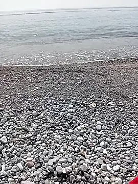 Snapshot of NAvoglia chatting on 07-20-26, 01:46 NAvoglia online show from 07-20-26, 01:46