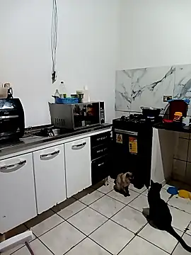 Pantaneirasexy online show from 11-27-25, 04:31