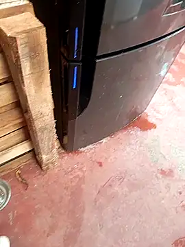 HotC1991 online show from 01-12-26, 03:17