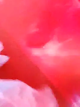 dominationmybigdick online show from 12-03-25, 09:51