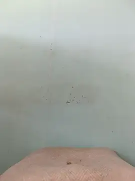 Dracoandr online show from 10-11-25, 04:05