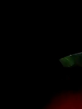 ginger 1 1 online show from 03-18-25, 12:38