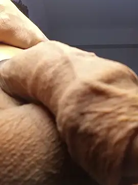 aleds17668 online show from 05-29-26, 08:18