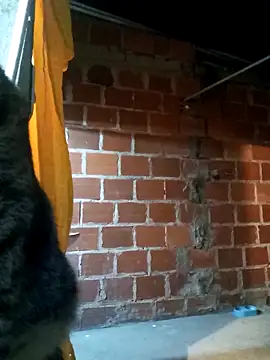 Snapshot of PECHO100 chatting on 03-03-25, 03:08 PECHO100 online show from 03-03-25, 03:08