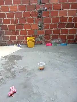 Snapshot of PECHO100 chatting on 03-06-25, 07:32 PECHO100 online show from 03-06-25, 07:32