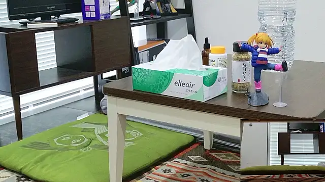 YARASERO-kun online show from 02-17-26, 03:25