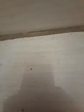 danieljv  online show from 12-20-25, 01:18