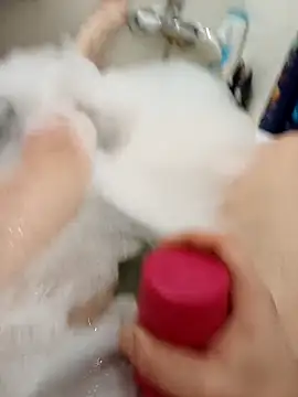 flo000031 online show from 02-16-26, 02:57