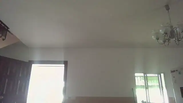 llopaco online show from 06-20-26, 10:18