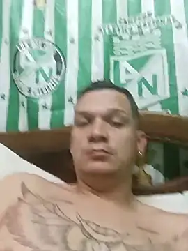 diinofox online show from 02-20-25, 08:14