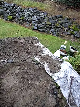 Snapshot of KingSlim56 chatting on 11-15-25, 08:16 KingSlim56 online show from 11-15-25, 08:16