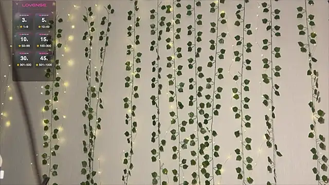 Asian Vi online show from 10-01-25, 11:38