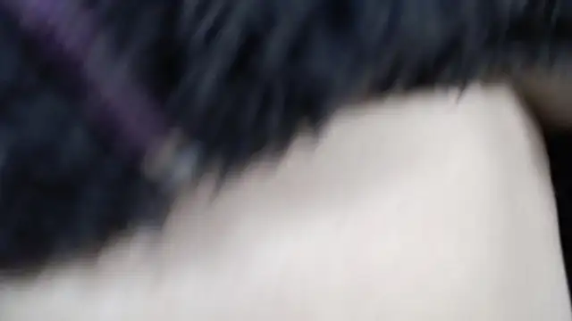 amy royale online show from 03-18-25, 05:31