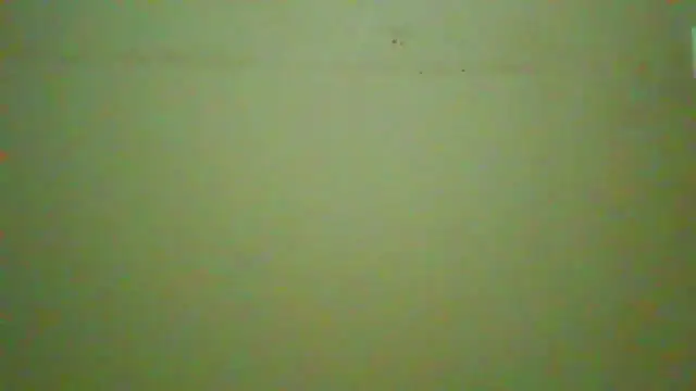 Snapshot of TwistedR chatting on 05-02-26, 02:05 TwistedR online show from 05-02-26, 02:05