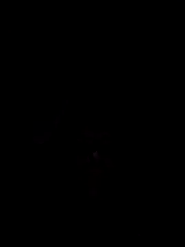 Snapshot of Nidge251 chatting on 11-04-25, 05:28 Nidge251 online show from 11-04-25, 05:28