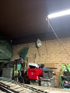 HTXBELLE online show from 03-11-26, 03:01