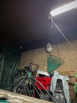 HTXBELLE online show from 03-13-26, 01:23