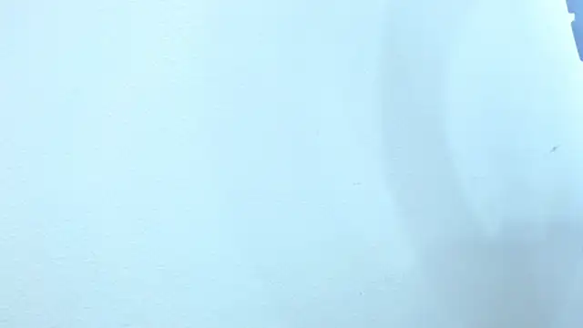 sebastian colle online show from 02-26-25, 03:08