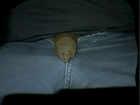 Snapshot of Mthondo-qinile chatting on 11-18-25, 09:30 Mthondo-qinile online show from 11-18-25, 09:30