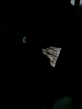 psyb23 online show from 03-19-25, 07:17