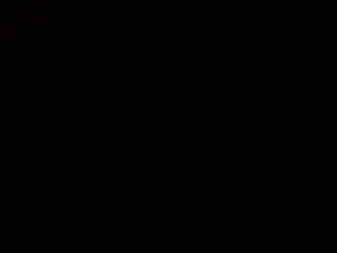 Pandora 9666 online show from 01-08-26, 05:04