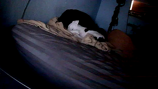 PornStro921 online show from 02-11-26, 08:25