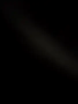 wildfun  online show from 11-24-25, 08:47