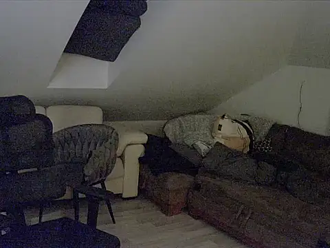 gryzoon online show from 10-11-25, 12:43