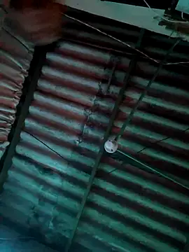 Snapshot of frankli2681 chatting on 02-13-26, 05:47 frankli2681 online show from 02-13-26, 05:47