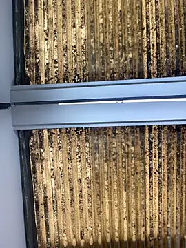 Madisson-Rivas online show from 10-14-25, 07:14