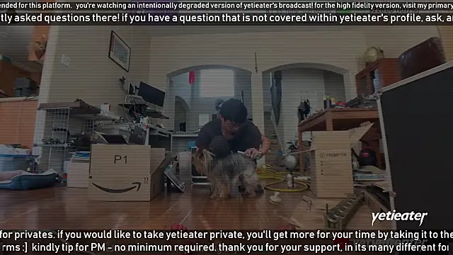 yetieater online show from 02-13-25, 05:22