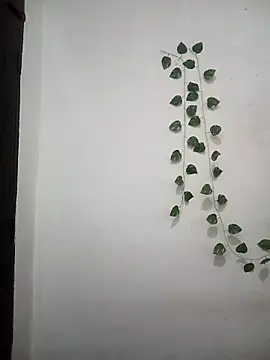 Neha-Bhabhi-Rasily online show from 03-25-26, 05:24