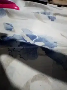 Sandra42 online show from 11-14-25, 09:52