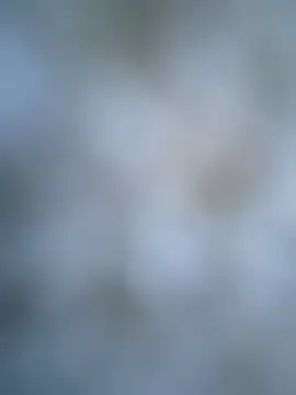 coolbrady17 online show from 03-06-25, 10:52