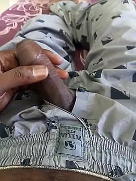 Tn localboy69 online show from 09-29-25, 02:16