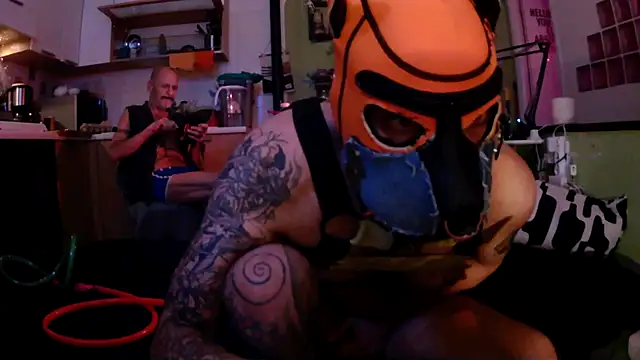 danix wild wolf online show from 05-12-26, 12:41