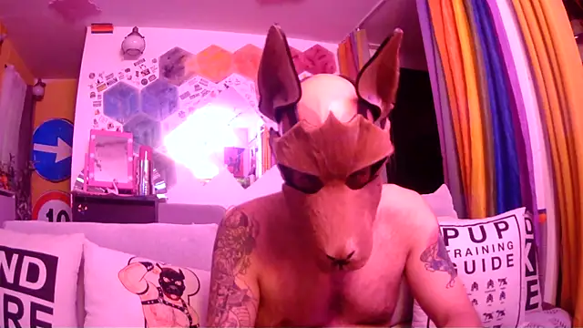 danix wild wolf online show from 05-31-26, 11:06