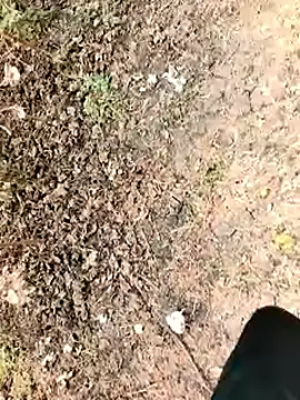 himvilohi08 online show from 01-07-26, 06:16