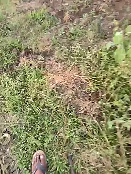 himvilohi08 online show from 03-16-26, 01:15