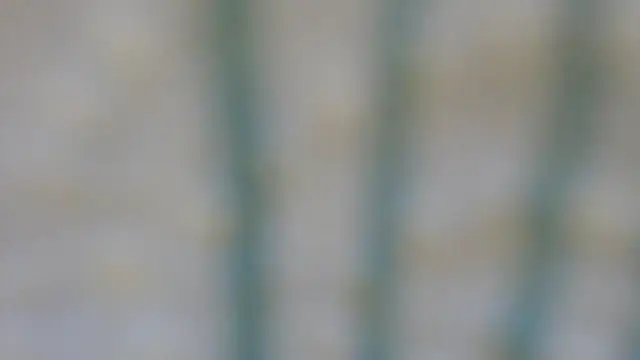 RobertaFox69 online show from 12-06-24, 04:49