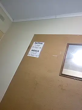 Snapshot of bakedsnackmmh chatting on 03-30-26, 06:09 bakedsnackmmh online show from 03-30-26, 06:09