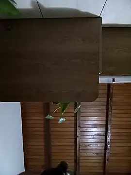 Snapshot of Sexi_girl29 chatting on 10-02-25, 09:16 Sexi girl29 online show from 10-02-25, 09:16