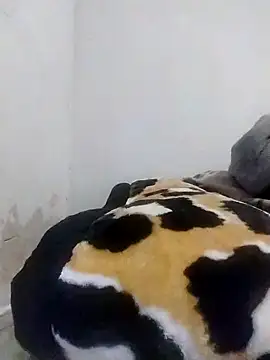 CertifiedSatisfier online show from 10-29-25, 01:46