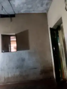 PolarFriend0 online show from 02-17-26, 12:56