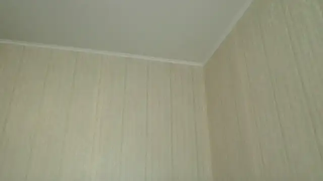  Black-Panther  online show from 05-06-26, 09:03