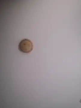 yourflowerpink online show from 11-29-25, 08:28